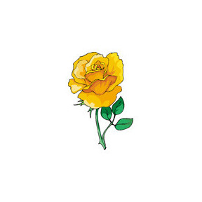 Аромат розы Ткань для вышивания с нанесённым рисунком Orchidea O-366