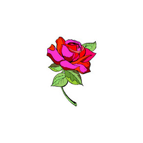 Чайна троянда Тканина для вишивання з нанесеним малюнком Orchidea O-379