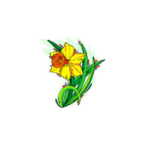 Нарцис Тканина для вишивання з нанесеним малюнком Orchidea O-380