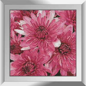 Розовые хризантемы Набор алмазной живописи Dream Art 31868D