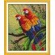 Два попугая Набор для вышивания крестом с печатной схемой на ткани Joy Sunday D439