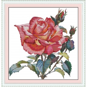 Роза Набор для вышивания крестом с печатной схемой на ткани Joy Sunday H786