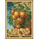 Апельсин Набор для вышивания крестом с печатной схемой на ткани Joy Sunday J456