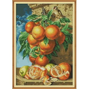Апельсин Набор для вышивания крестом с печатной схемой на ткани Joy Sunday J456
