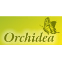 Orchidea (Украина)