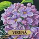 Джміль на бузку Сумка-шоппер під вишивку бісером Virena Шоппер_663 Шоппер_663 фото 6