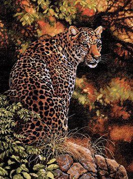 Набір для вишивки хрестиком Dimensions 35209 Leopard's Gaze 35209 фото