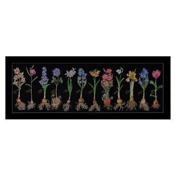 Bulbs Black Aida Набір для вишивання хрестиком Thea Gouverneur gouverneur_1087.05 gouverneur_1087.05 фото