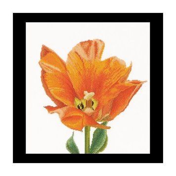 Orange Triumph tulip Aida Набор для вышивки крестом Thea Gouverneur gouverneur_523A gouverneur_523A фото