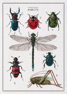 Набір для вишивання хрестиком The History of Insects Linen Thea Gouverneur 566 gouverneur_566 фото