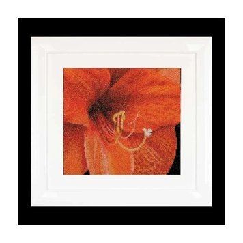 Amaryllis Aida Набір для вишивки хрестиком Thea Gouverneur gouverneur_496A gouverneur_496A фото