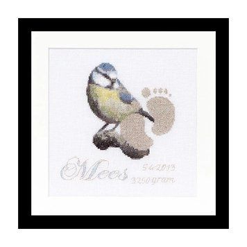 Birth Sampler Mees Linen Набір для вишивання хрестиком Thea Gouverneur gouverneur_509 gouverneur_509 фото