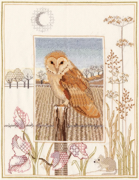 Набор для вышивания крестиком Сипуха Barn Owl Bothy Threads DWWIL3 DWWIL3 фото